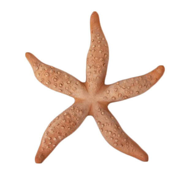 STELLA MARINA in terracotta