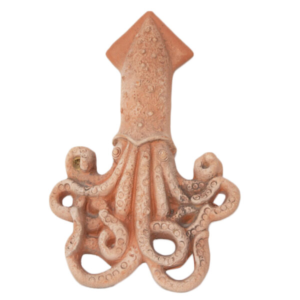 Calamaro in terracotta