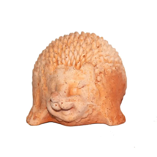 Riccio in terracotta