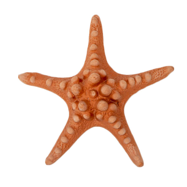 Stella Marina in terracotta